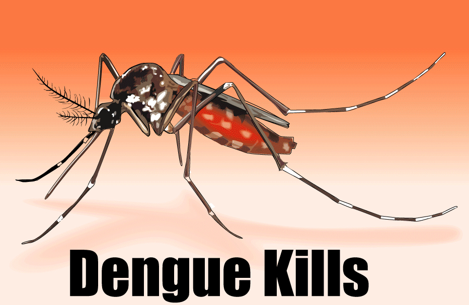 डेंगू के लक्षण